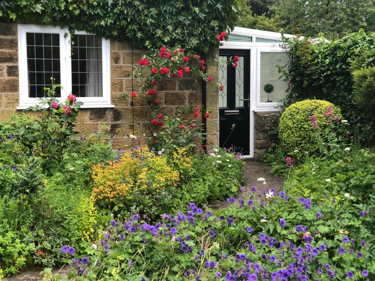 Scalby Grove Cottage سكرابورو المظهر الخارجي الصورة